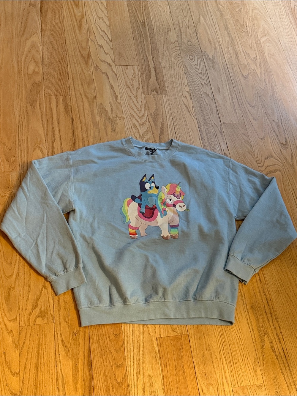 Bluey x Light Blue Graphic Crewneck Sweatshirt
